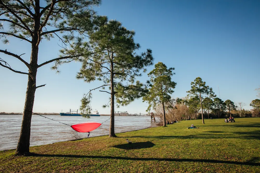 The grassy riverbank at The Fly, with a red hammock, pine trees and a ship on the Mississippi.