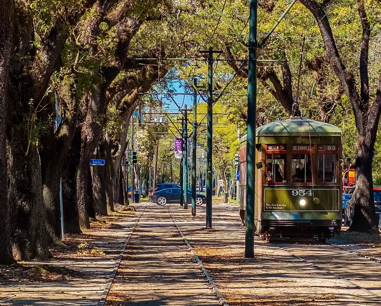 A green St. Charles streetcar beneath the oak canopy along the Uptown tracks.